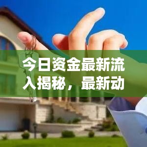 今日資金最新流入揭秘，最新動(dòng)態(tài)一網(wǎng)打盡