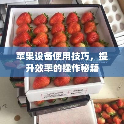 花開無言 第3頁