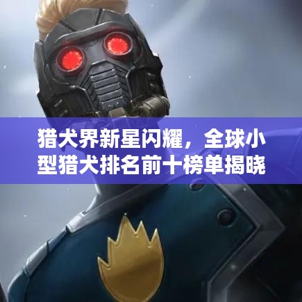 獵犬界新星閃耀，全球小型獵犬排名前十榜單揭曉！