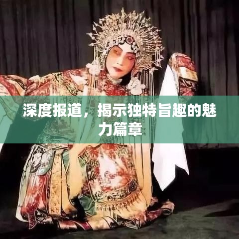 深度報道，揭示獨特旨趣的魅力篇章