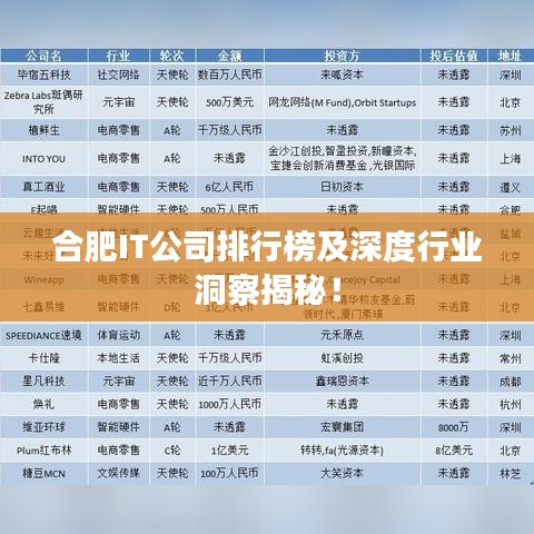 合肥IT公司排行榜及深度行業(yè)洞察揭秘！