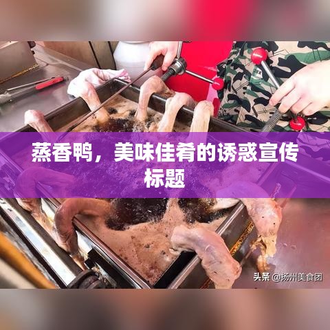 蒸香鴨，美味佳肴的誘惑宣傳標(biāo)題