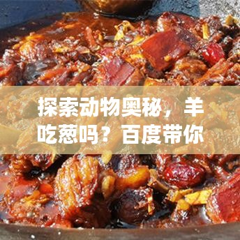 探索動(dòng)物奧秘，羊吃蔥嗎？百度帶你揭秘自然世界！