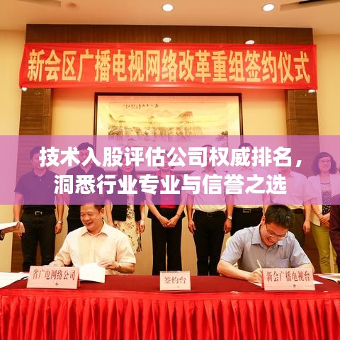 技術(shù)入股評(píng)估公司權(quán)威排名，洞悉行業(yè)專(zhuān)業(yè)與信譽(yù)之選
