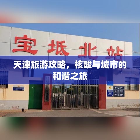 天津旅游攻略，核酸與城市的和諧之旅