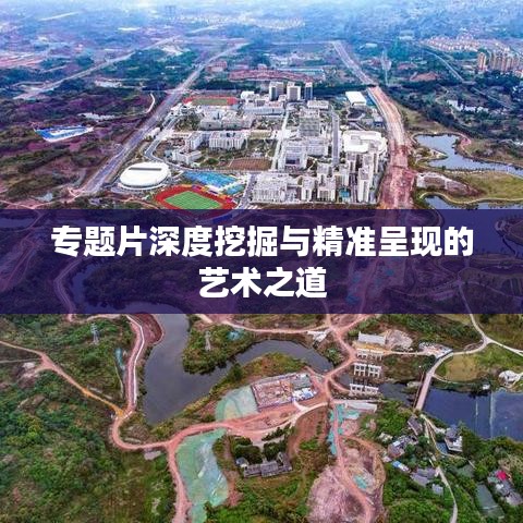 專題片深度挖掘與精準(zhǔn)呈現(xiàn)的藝術(shù)之道