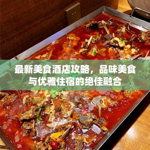 最新美食酒店攻略，品味美食與優(yōu)雅住宿的絕佳融合