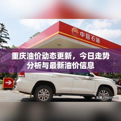 重慶油價動態(tài)更新，今日走勢分析與最新油價信息