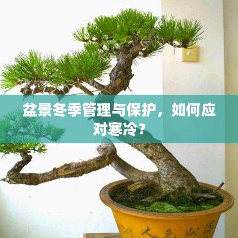 池魚(yú)籠鳥(niǎo) 第3頁(yè)