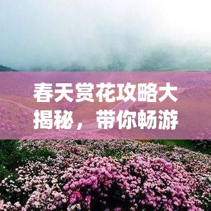 春天賞花攻略大揭秘，帶你暢游花海世界！