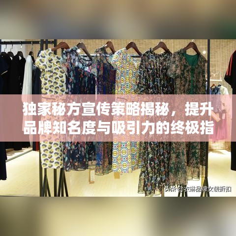 獨家秘方宣傳策略揭秘，提升品牌知名度與吸引力的終極指南