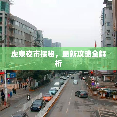 虎泉夜市探秘，最新攻略全解析