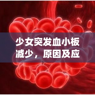 少女突發(fā)血小板減少，原因及應(yīng)對方法解析