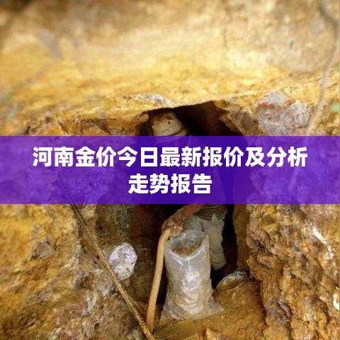 河南金價今日最新報價及分析走勢報告