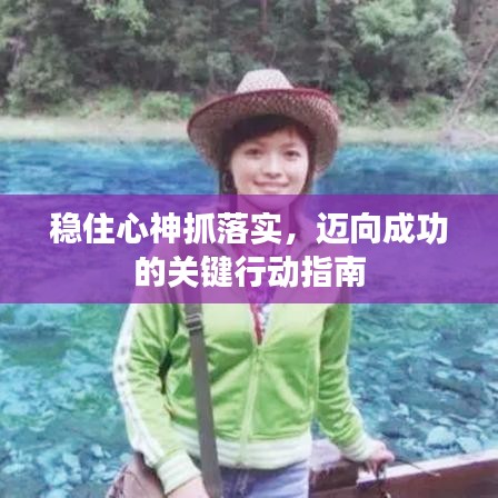 穩(wěn)住心神抓落實，邁向成功的關(guān)鍵行動指南