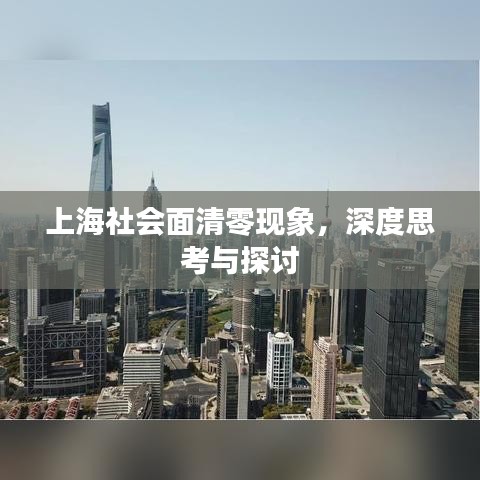上海社會(huì)面清零現(xiàn)象，深度思考與探討
