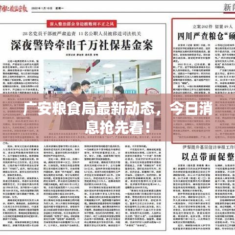 廣安糧食局最新動態(tài)，今日消息搶先看！