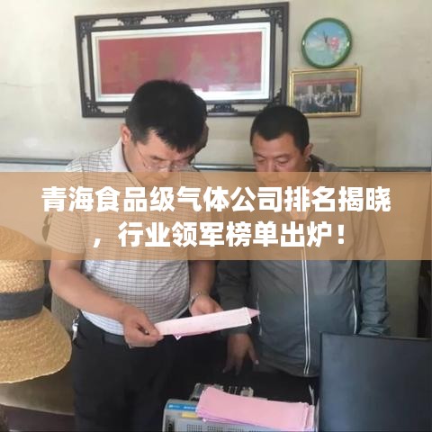 青海食品級(jí)氣體公司排名揭曉，行業(yè)領(lǐng)軍榜單出爐！