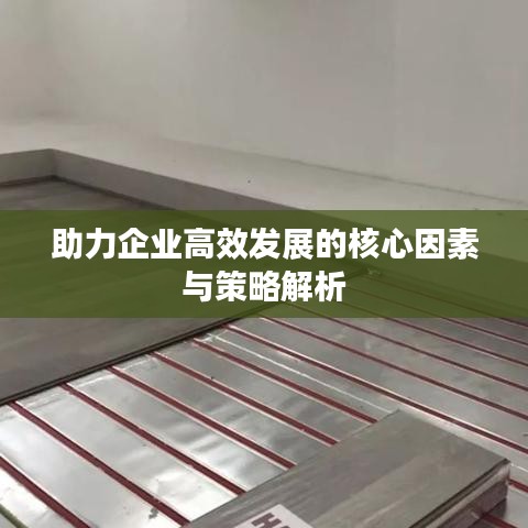 助力企業(yè)高效發(fā)展的核心因素與策略解析