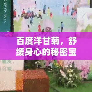 百度洋甘菊，舒緩身心的秘密寶藏，全網(wǎng)熱議熱議熱議！