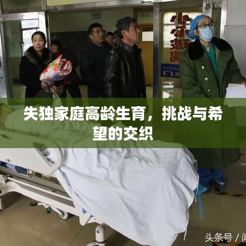 失獨(dú)家庭高齡生育，挑戰(zhàn)與希望的交織