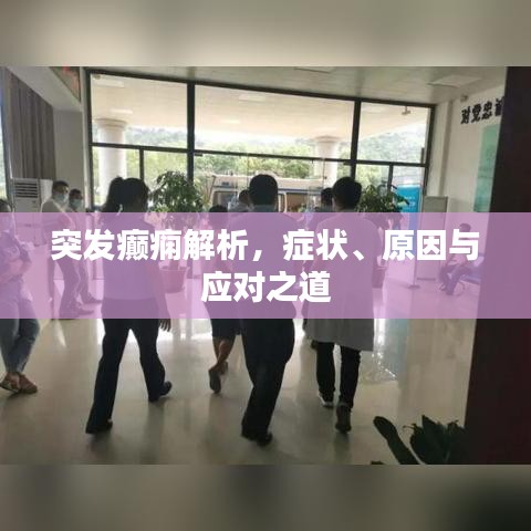 突發(fā)癲癇解析，癥狀、原因與應對之道
