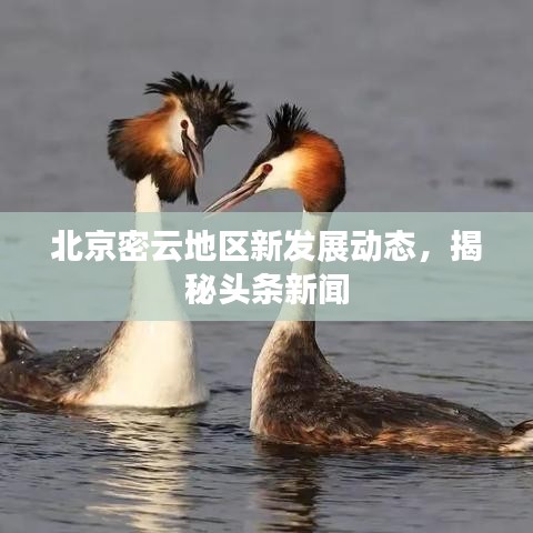 北京密云地區(qū)新發(fā)展動(dòng)態(tài)，揭秘頭條新聞