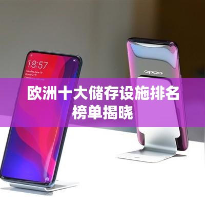 歐洲十大儲存設施排名榜單揭曉