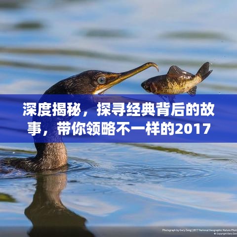 深度揭秘，探尋經(jīng)典背后的故事，帶你領(lǐng)略不一樣的2017年