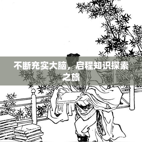 不斷充實(shí)大腦，啟程知識(shí)探索之旅