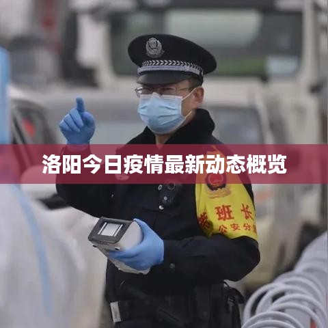 洛陽今日疫情最新動態(tài)概覽