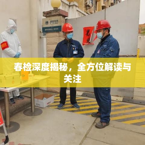 春檢深度揭秘，全方位解讀與關注