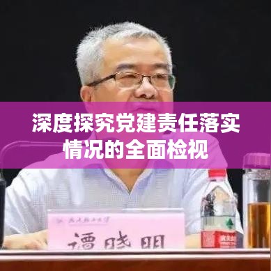 深度探究黨建責(zé)任落實(shí)情況的全面檢視