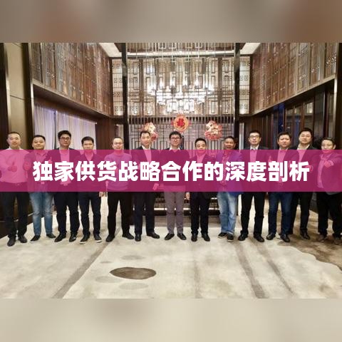 獨(dú)家供貨戰(zhàn)略合作的深度剖析