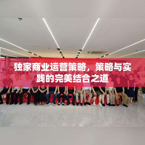 獨家商業(yè)運營策略，策略與實踐的完美結(jié)合之道