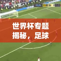 世界杯專題揭秘，足球盛宴背后的故事與傳奇之旅