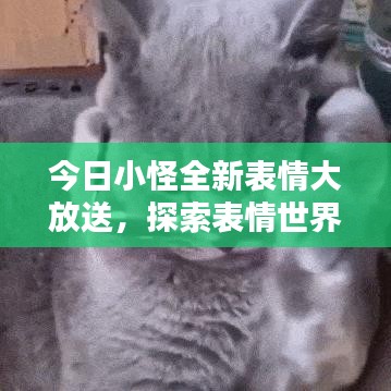 今日小怪全新表情大放送，探索表情世界的無限魅力！