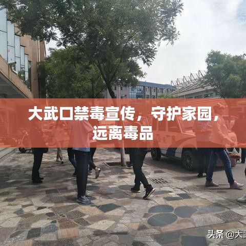 大武口禁毒宣傳，守護家園，遠離毒品