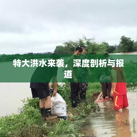 特大洪水來(lái)襲，深度剖析與報(bào)道