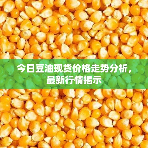 今日豆油現(xiàn)貨價(jià)格走勢分析，最新行情揭示