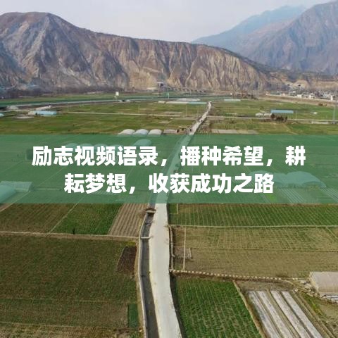勵(lì)志視頻語(yǔ)錄，播種希望，耕耘夢(mèng)想，收獲成功之路