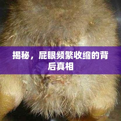 神采奕奕 第3頁(yè)