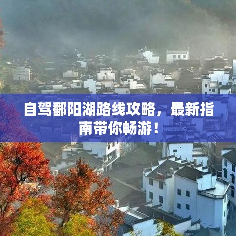 自駕鄱陽湖路線攻略，最新指南帶你暢游！