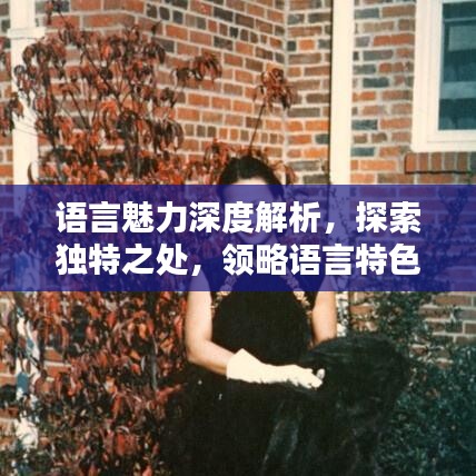 語(yǔ)言魅力深度解析，探索獨(dú)特之處，領(lǐng)略語(yǔ)言特色專題的魅力