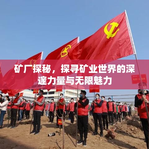 礦廠探秘，探尋礦業(yè)世界的深邃力量與無限魅力