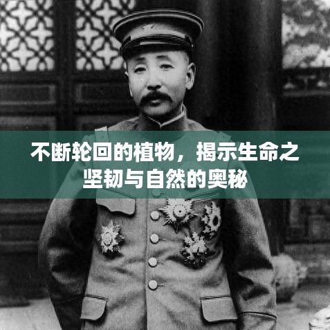 不斷輪回的植物，揭示生命之堅韌與自然的奧秘