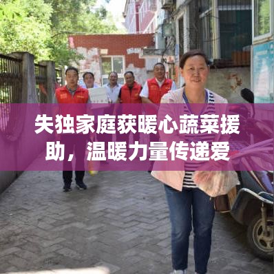 失獨家庭獲暖心蔬菜援助，溫暖力量傳遞愛