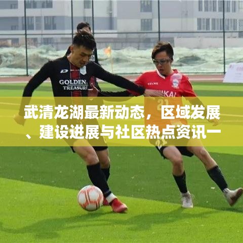 武清龍湖最新動態(tài)，區(qū)域發(fā)展、建設(shè)進展與社區(qū)熱點資訊一網(wǎng)打盡