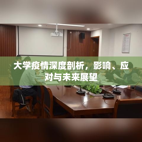 大學(xué)疫情深度剖析，影響、應(yīng)對與未來展望