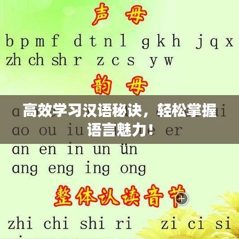 高效學(xué)習(xí)漢語秘訣，輕松掌握語言魅力！